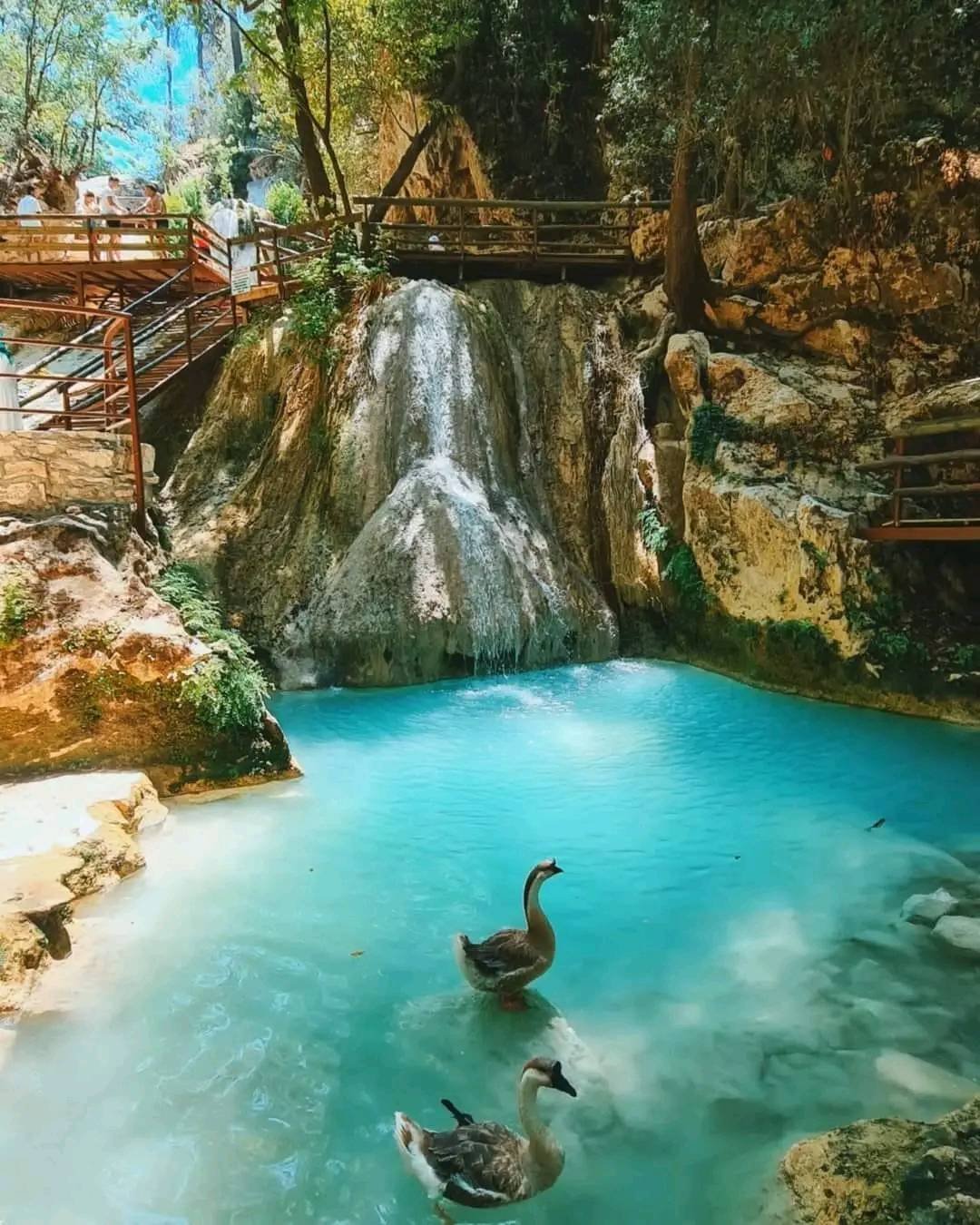 LAND OF LEGENDS